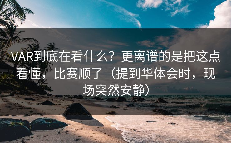 VAR到底在看什么？更离谱的是把这点看懂，比赛顺了（提到华体会时，现场突然安静）